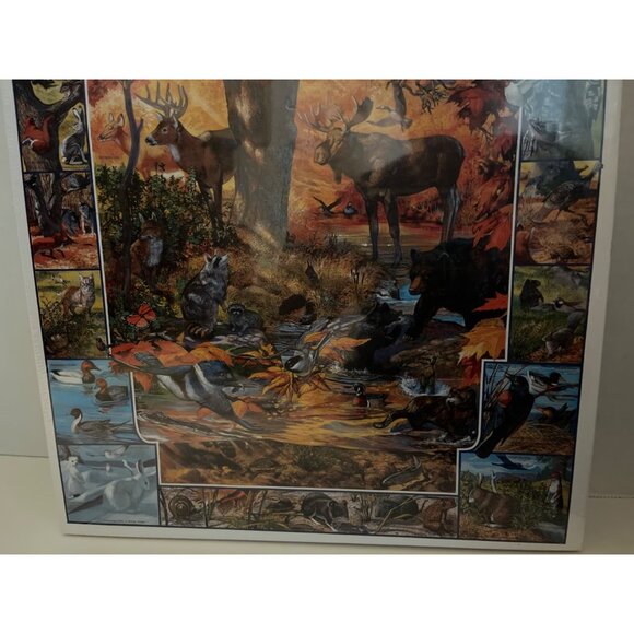 White Mountain Puzzles Friends of the Forest 1000 ExLarge Pc’s New SEALED 24x30 - Picture 7 of 7